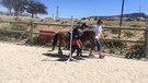 Balade poney enfants