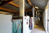 Box chevaux