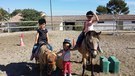 Cours poneys enfants