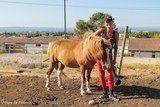 Equitation centre équestre provence