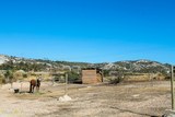 Promenade a cheval provence