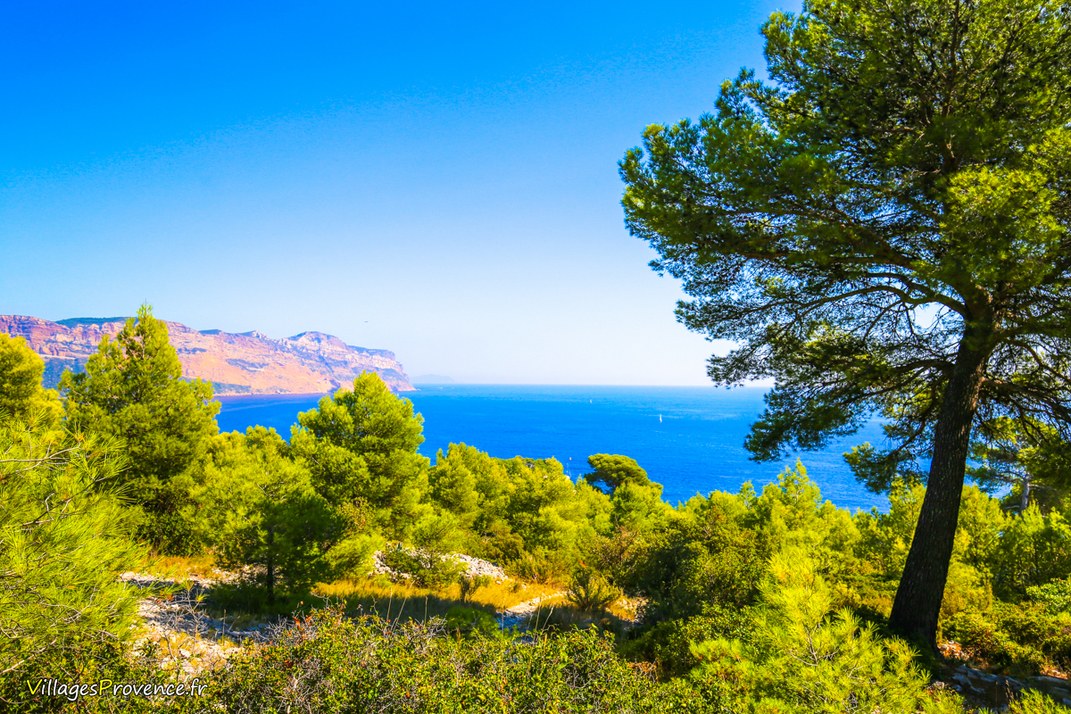 Calanques - Marseille