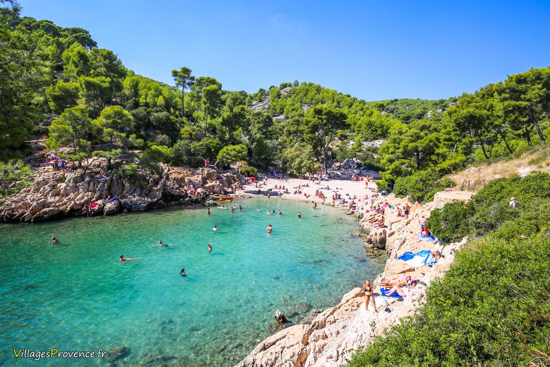 Calanques - Port Pin - Marseille