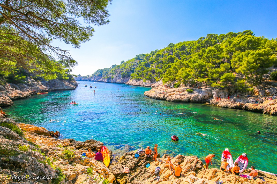 Calanques - Port Pin - Marseille