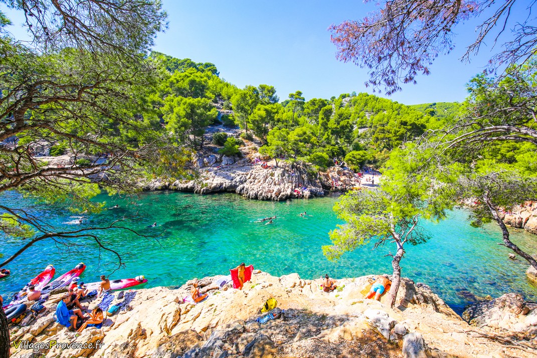 Calanques - Port Pin - Marseille