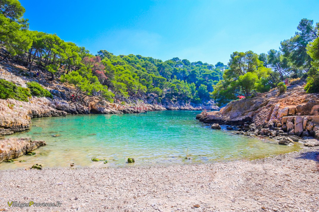 Calanques - Port Pin - Marseille