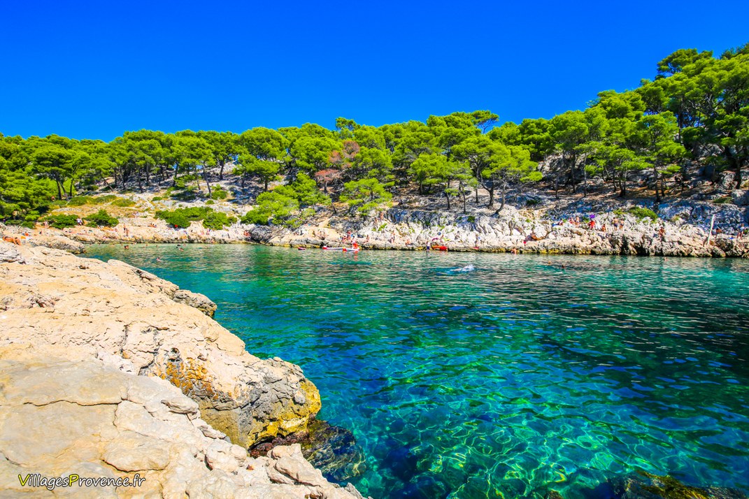 Calanques - Port Pin - Marseille