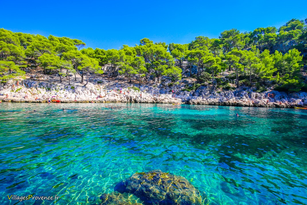 Calanques - Port Pin - Marseille