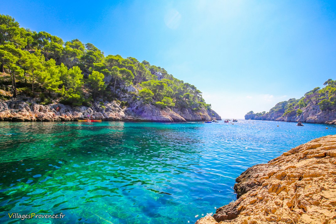 Calanques - Port Pin - Marseille