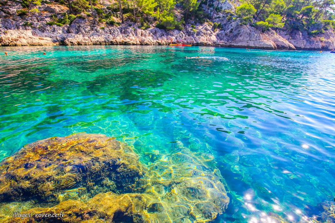 Calanques - Port Pin - Marseille