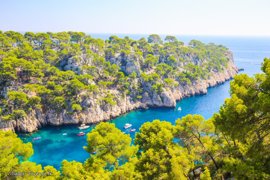 Calanques - Port Pin - Marseille
