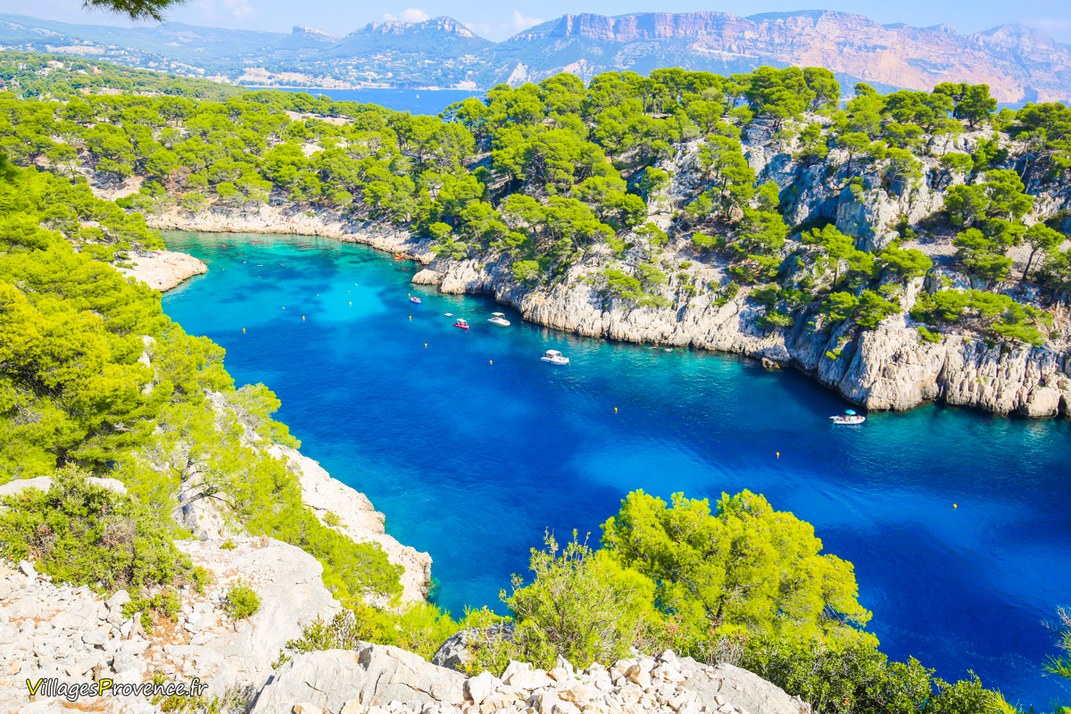 Calanques - Port Pin - Marseille