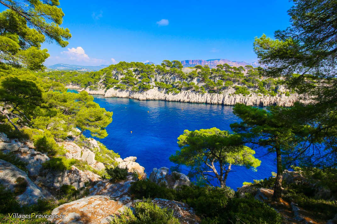 Calanques - Port Pin - Marseille
