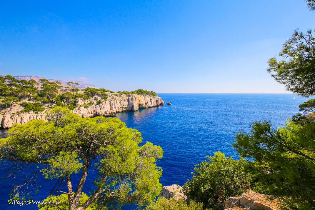 Calanques - Port Pin - Marseille