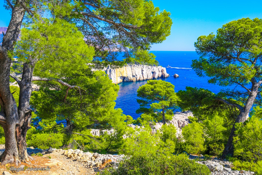 Calanques - Port Pin - Marseille