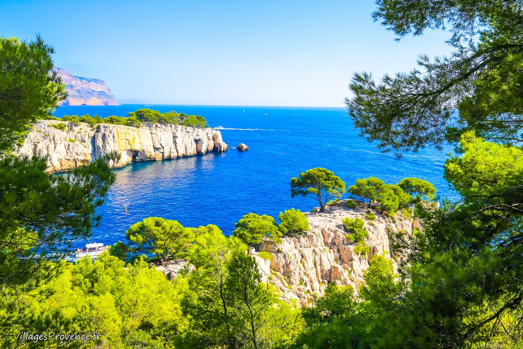 Calanques - Port Pin - Marseille