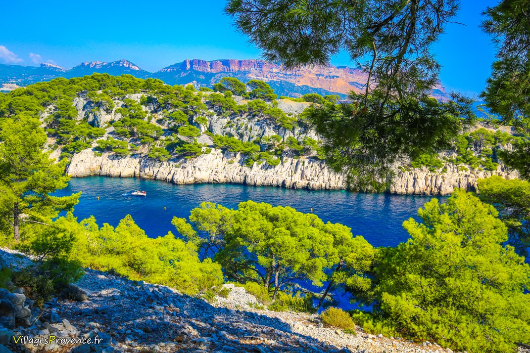 Calanques - Port Pin - Marseille