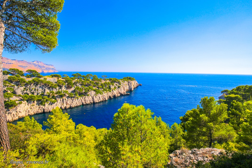 Calanques - Port Pin - Marseille
