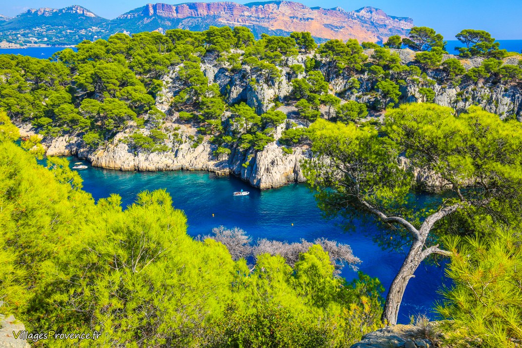Calanques - Port Pin - Marseille