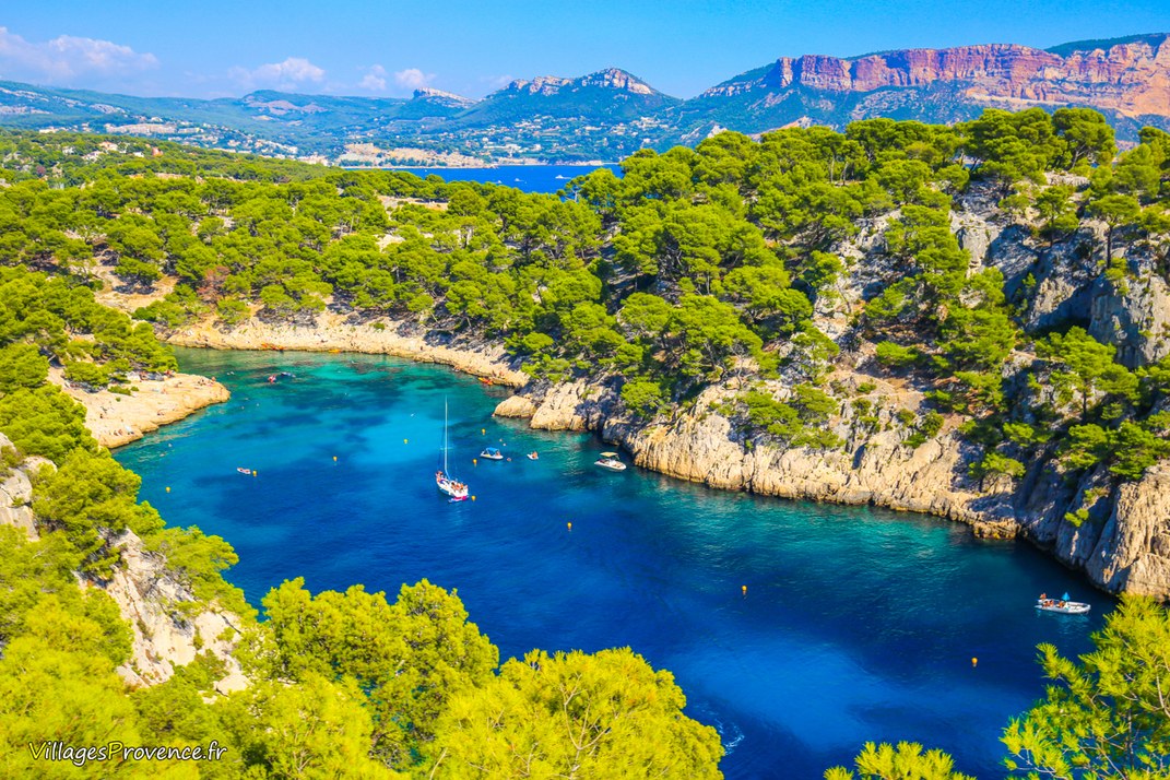 Calanques - Port Pin - Marseille