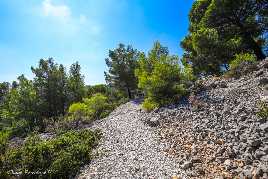 Colline - Marseille
