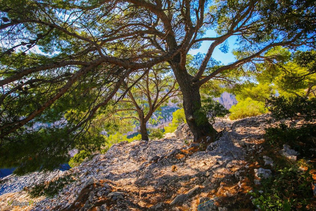 Colline - Marseille