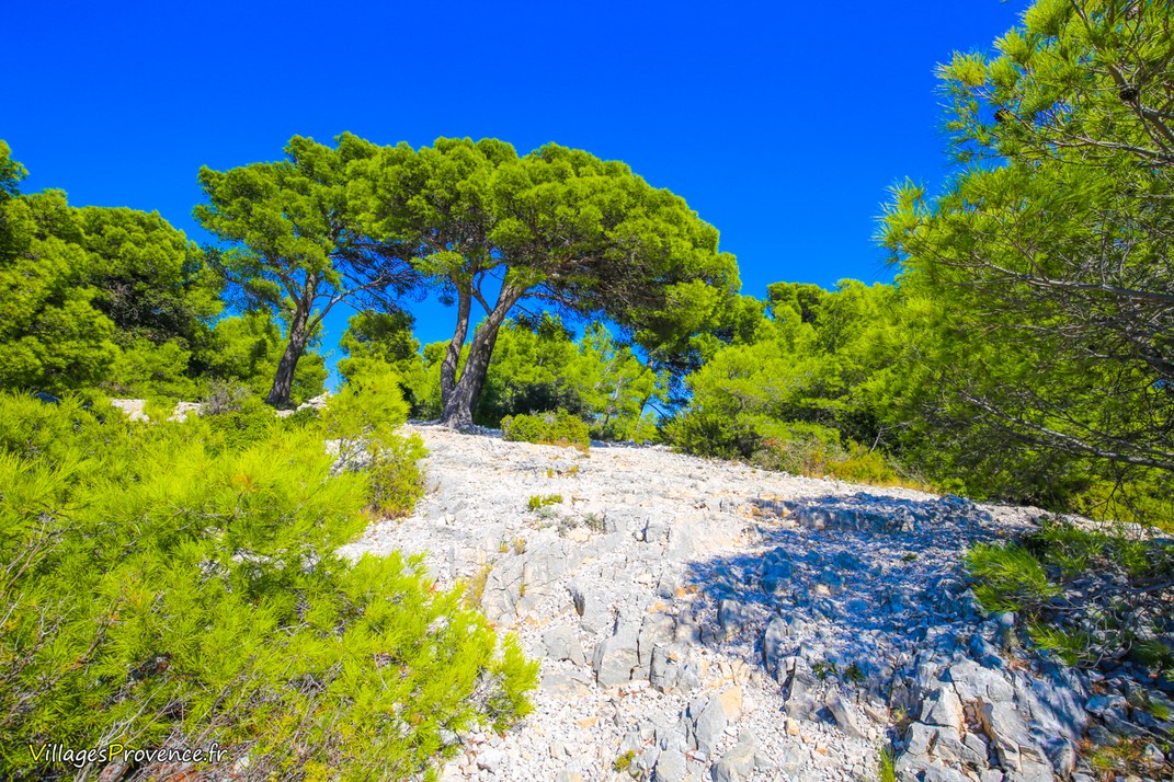 Colline - Marseille
