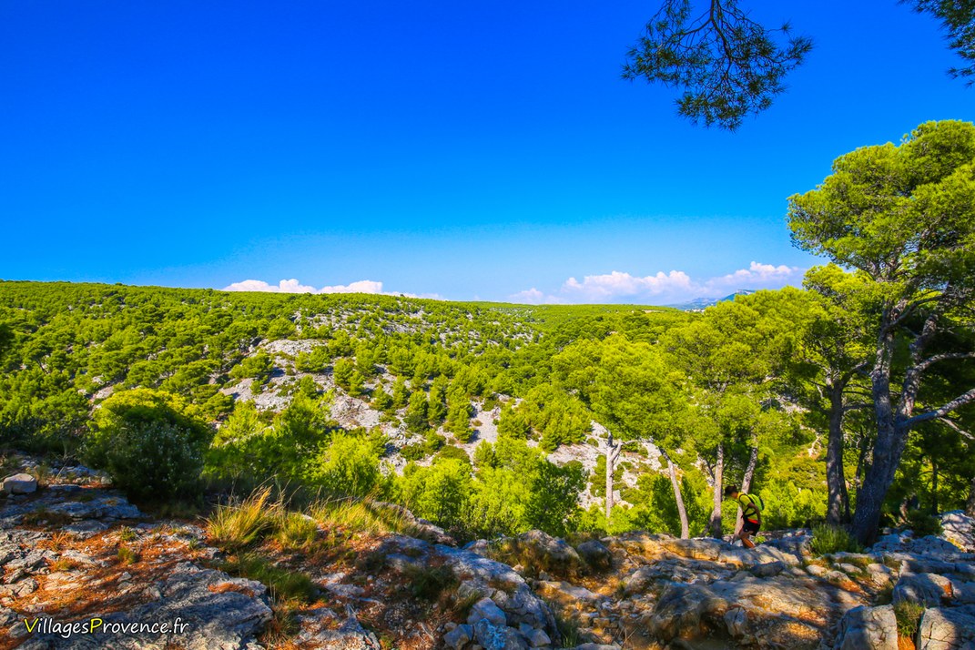 Forêt - Fontasse - Marseille
