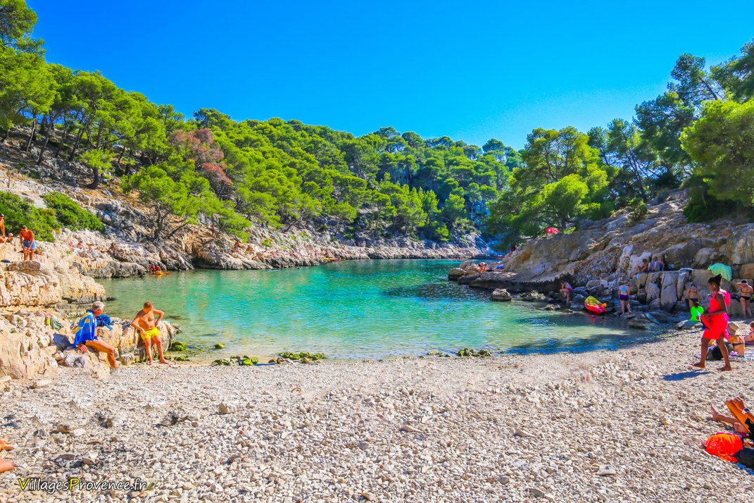 Calanques - Port Pin - Marseille